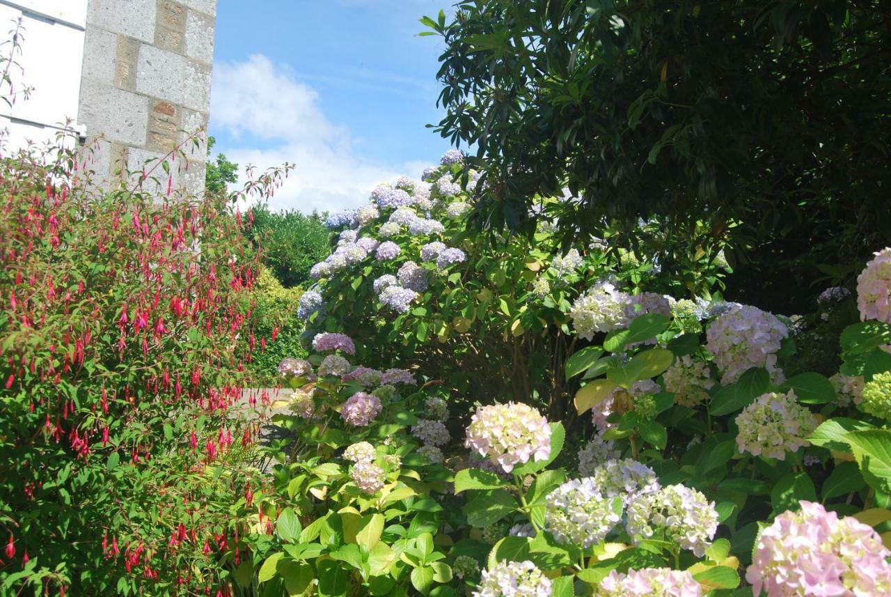 B&B Le Mesnil Saint-Senier-sous-Avranches Екстериор снимка